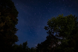 棵树 星空 星星 夜晚 黑暗 长时间的 4k壁纸 3840x2160