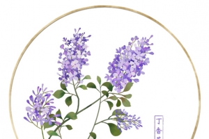 手绘圆形唯美中国风丁香花插图免