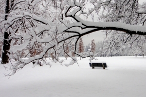 冬天雪公园椅子风景图片