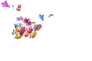 彩色花瓣撒花