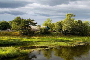 绿色大树乡村河流草地