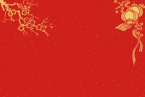 喜庆中国风元旦春节设计