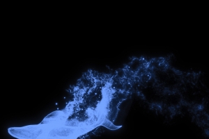 鱼 华为matext非凡大师 华为三折叠壁纸 3184x3184