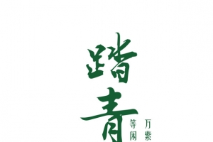 绿色现代艺术字体