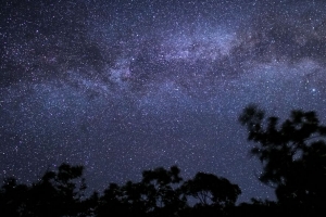 夜晚 星星 剪影 天空 树木 4k壁纸 3840x2160