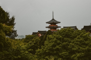 宝塔 树木 建筑 京都府 日本 4k壁纸 3840x2160