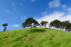 山丘 树木 草地 风景 自然 4k壁纸 3840x2160