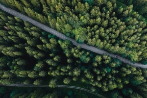 森林 鸟瞰图 道路 云杉 机器 4k壁纸 3840x2160