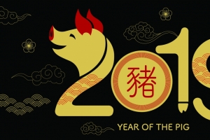 2019猪年新年快乐4k壁纸