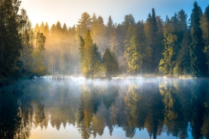 秋天芬兰风景 森林 湖 树木 倒映 早晨的雾 摄影图片