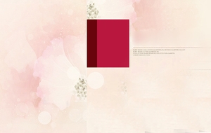 奢华气质女包背景banner