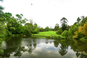 墨尔本皇家植物园风景