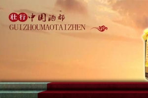 中国壮行白酒促销banner