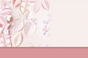 粉色花瓣背景banner