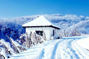 唯美雪景