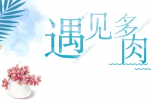 手绘多肉植物文艺清新banner