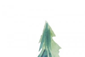 手绘松树