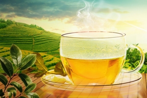 文艺茶水茶园景色banner