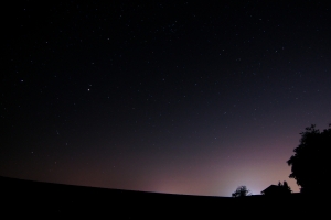 夜 森林 夜晚的天空 星空 4K风景壁纸