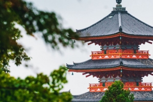 宝塔 寺庙 建筑 建筑 树木 树枝 4k壁纸 3840x2160