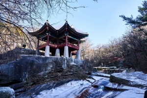 宝塔 寺庙 建筑 树木 雪 风景 4k壁纸 3840x2160