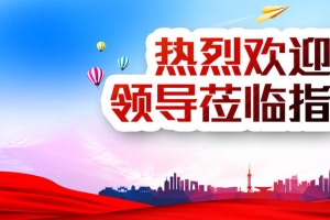 热烈欢迎领导莅临指导会议背景