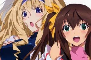 Infinite Stratos 无限斯特拉托斯壁纸