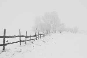 冬天 自然 树 栅栏 天空 雪 风景图片