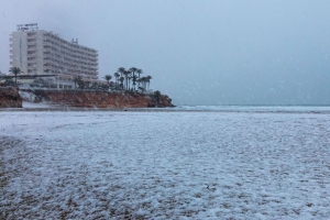 海岸 海 雪 棕榈树 建筑 冬季 4k壁纸 3840x2160