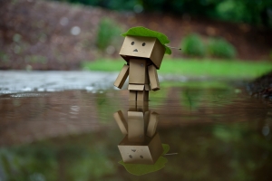 亚马逊纸盒人树叶雨水心情图片