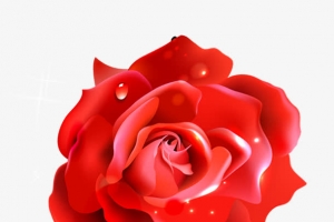 情人节婚礼浪漫蜡质玫瑰