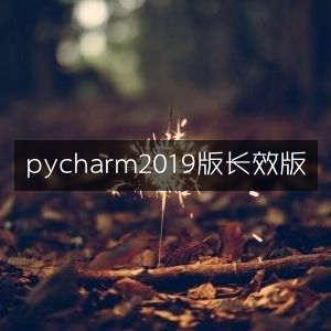 PyCharm 2019 长效稳定版