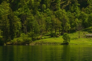 河畔 山 树林 风景 5120x1440双屏壁纸