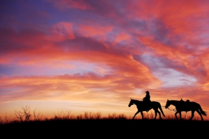 黄昏 夕阳 骑马的女孩4k风景壁纸