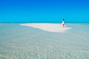 大海海滩女孩美女背影4k壁纸