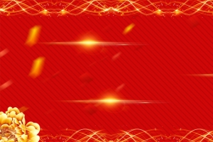 隆重招商红色背景banner