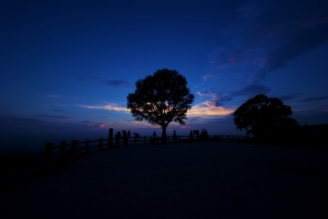 一个炎热的夏日夜晚4k风景壁纸