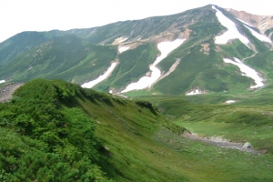 大雪山国立公园