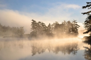 树木 湖泊 雾 自然 风景 4k壁纸 3840x2160