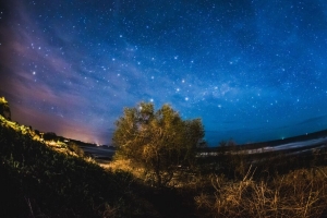 星空 树 夜间 4k壁纸 3840x2160