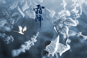 霜降二十四节气清新灰色banner