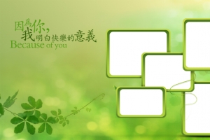 绿色小清新照片墙背景banner