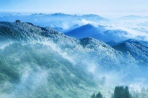 森林 山水风景H5背景