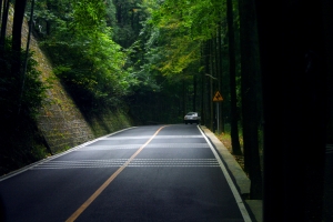 绿色森林公路风景图片