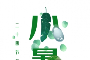 小暑绿色原创 艺术字