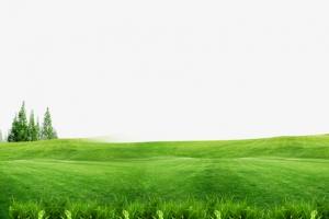 绿色草地背景免抠素材