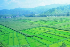 清新乡村田园摄影背景