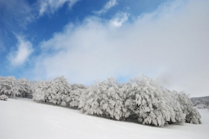 冰山雪山宝贝背景