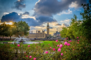 花 玫瑰公园 英格兰 伦敦的大笨钟 4k高清风景壁纸