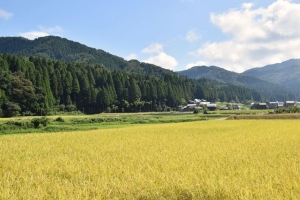 山脉 田野 村庄 风景 4k壁纸 3840x2160